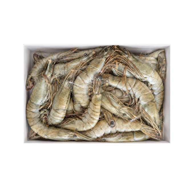 Langostino jumbo black tiger 2kg pescanova compra online