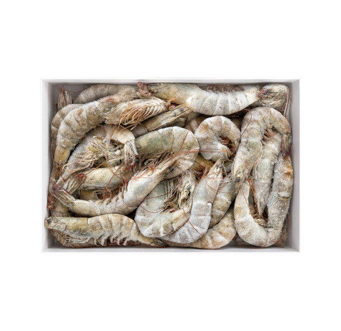 Caja abierta langostino vannamei 2kg compra online Pescanova
