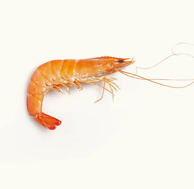 Langostino Vannamei Cocido 800g