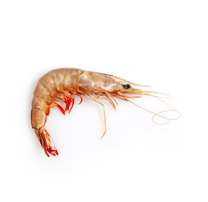 Langostino brown 2kg