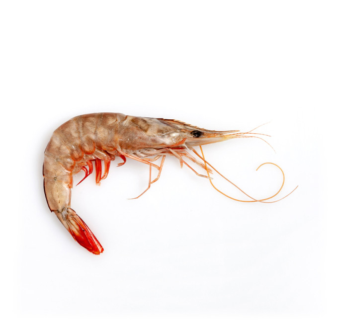 langostino banana 2 kg