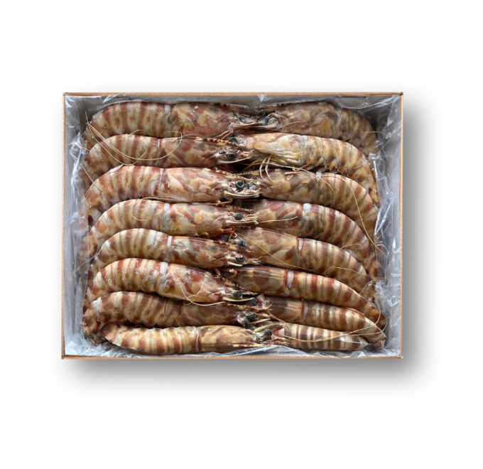 Langostino tigre 2 kg compra online pescanova