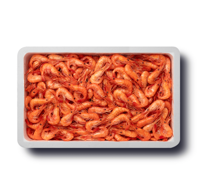 caja camaron cocido 1kg compra online pescanova
