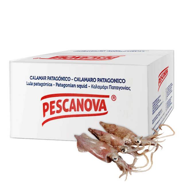 calamar patagonico 5 kg pescanova compra online