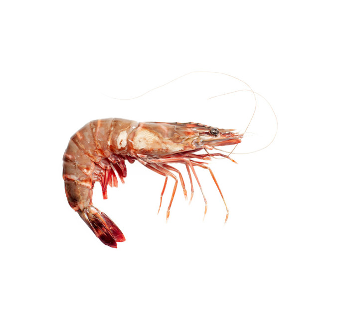 langostino jumbo 2kg