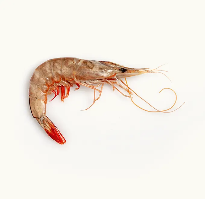 Langostino Banana 2kg