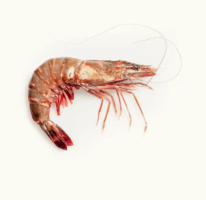 Langostino Jumbo 2kg