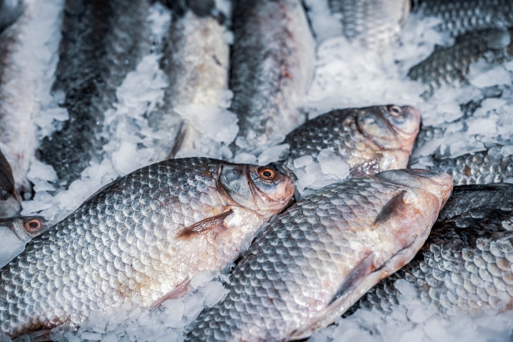 Cómo limpiar pescado