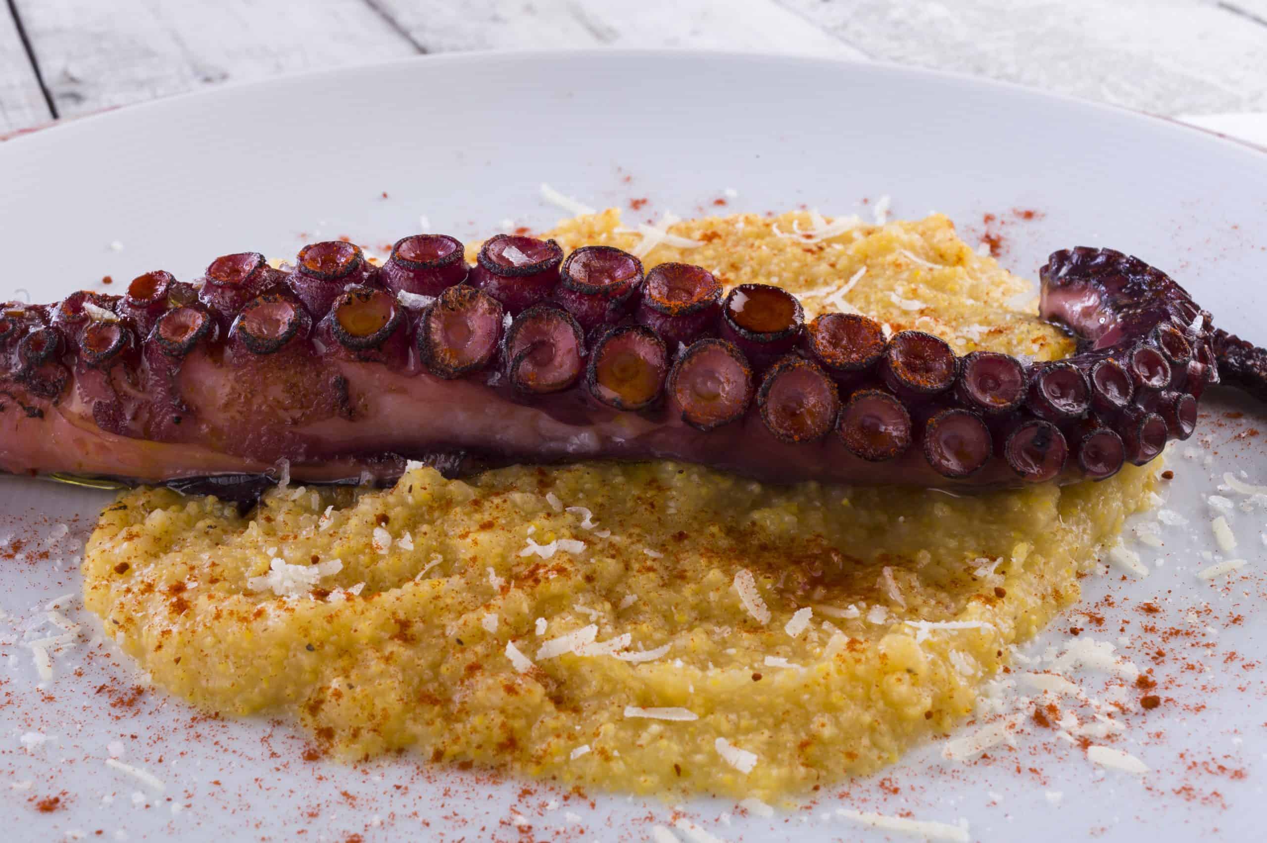 Pulpo a la plancha con polenta Pescanova
